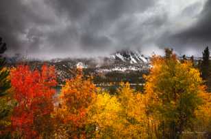 Rock Creek Lake Fall color-8691 Rock Creek Lake Fall color-8691